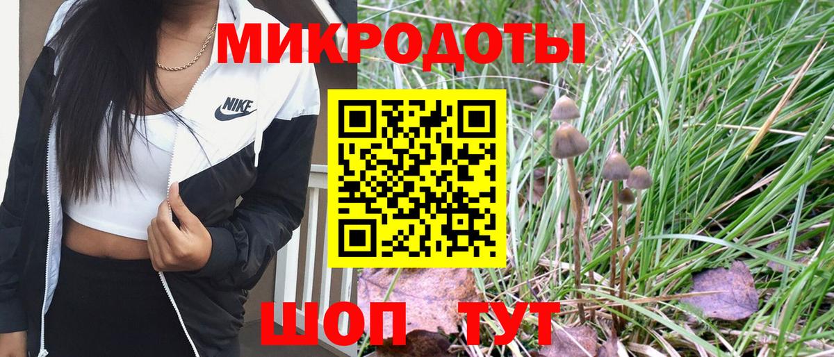 Галлюциногенные грибы мухоморы  Галлюциногенные грибы прущие грибы  Вход с VPN  Жуковский 